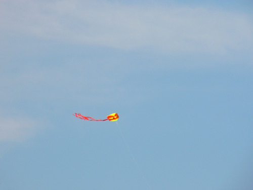 kite1.jpg
