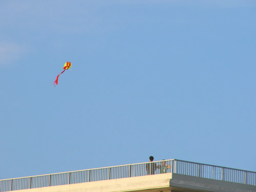 kite5.jpg